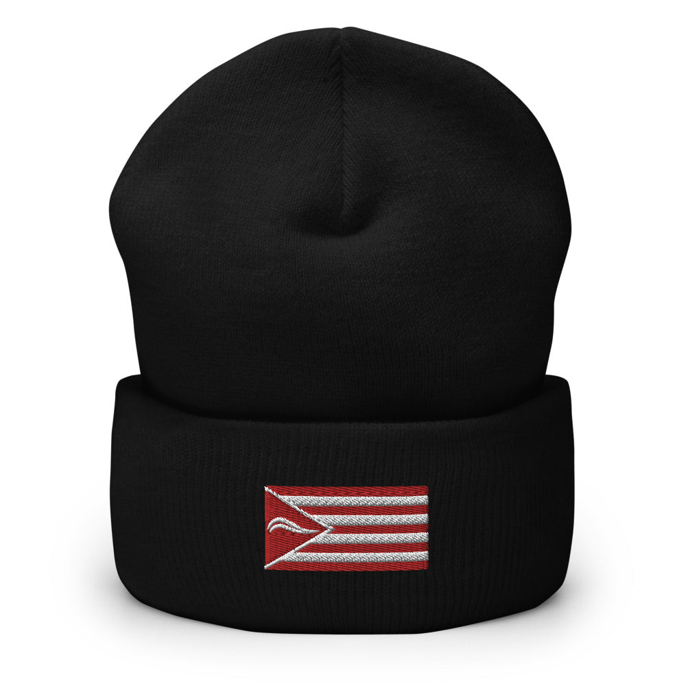 AIRmatic Clothing Flag Cuffed Beanie